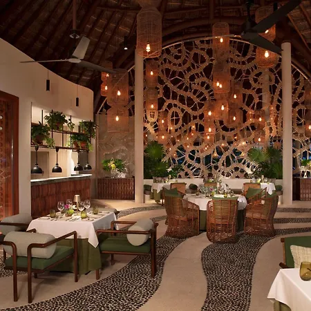 Secrets Maroma Beach Riviera Cancun - Adults Only-3